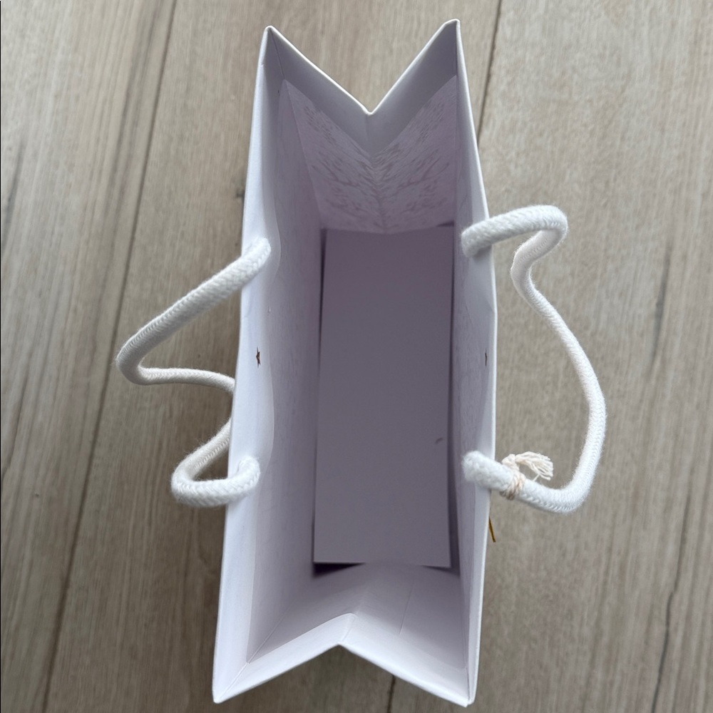 Dior Gift Bag - Picture 4 of 6